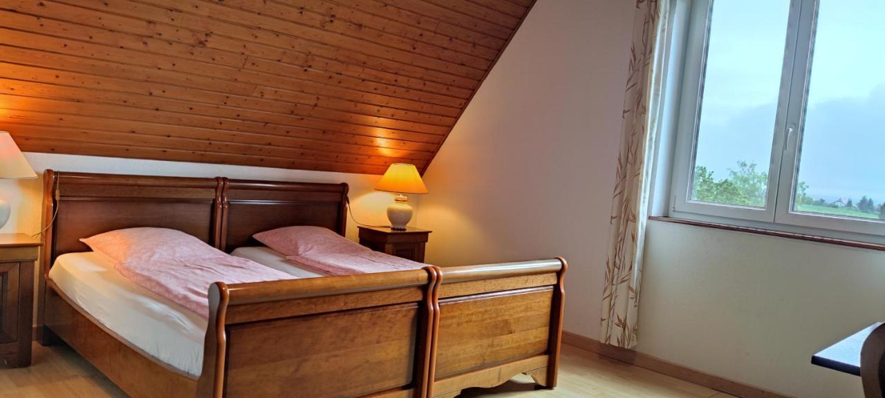 Chambre D'Hotes De La Tulipe Mittelbergheim Exteriér fotografie