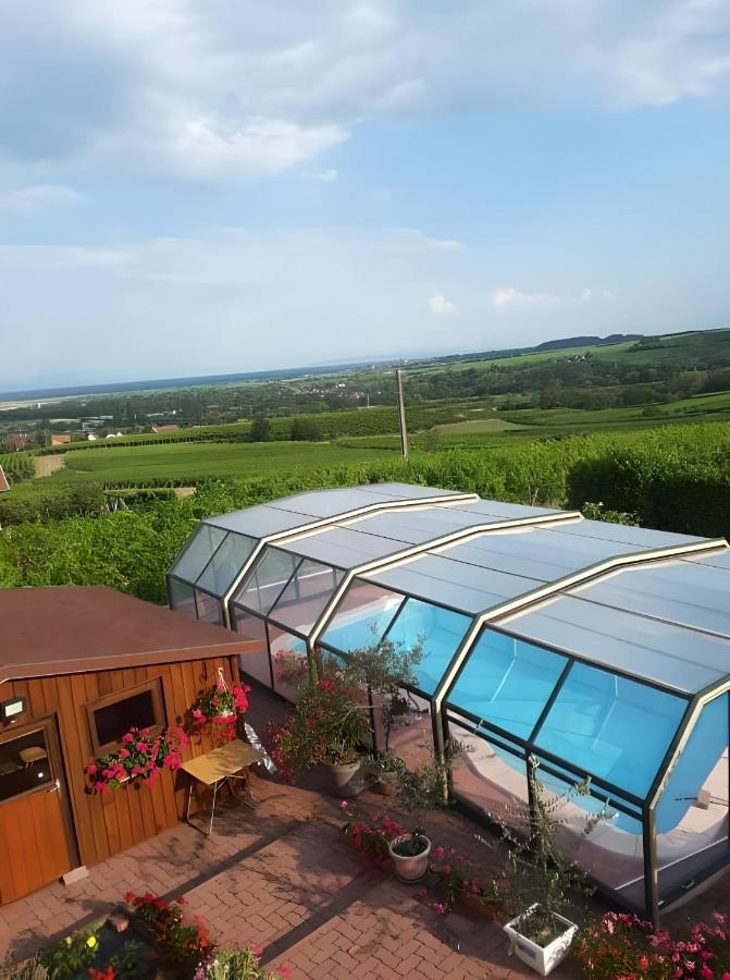 Chambre D'Hotes De La Tulipe Mittelbergheim Exteriér fotografie